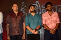 Srinivasa Kalyanam Movie Success Meet